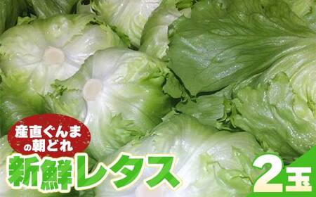 �Y������܂̒��ǂ� �V�N���^�X 300g�ȏ�×2�� F21E-491