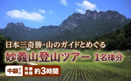 日本三奇勝・山のガイドとめぐる妙義山登山ツアー1名様分[中級コース]日本三奇勝 妙義山 登山 山岳 ツアー ガイド付き 観光 F20E-720