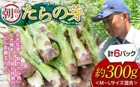 s\ R؂̉l ̉ (300g) i2026N1菇j ̉ ^̉ ܏tNT R  Hi F20E-770