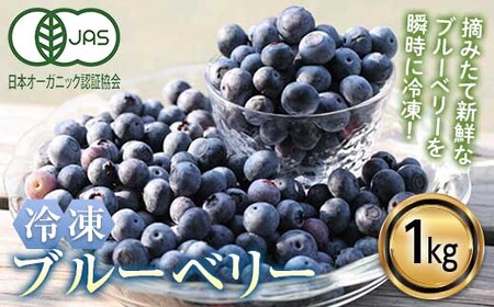 [有機JAS認定] 冷凍ブルーベリー (1kg) ブルーベリー JAS認定 農薬不使用 有機栽培 冷凍 フルーツベリー くだもの 果物 食品 F20E-848
