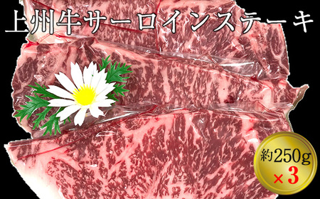 上州牛サーロインステーキ(約250g×3枚)