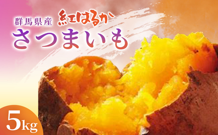 群馬県産 紅はるか 5kg ふるさと納税 サツマイモ さつまいも 紅はるか スイーツ 国産 美容 ダイエット 健康維持 トレーニング おやつ 群馬県 安中市 送料無料