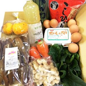 八州高原ふるさと丸ごとお届け便_卵・乳製品 卵 たまご タマゴ 玉子 野菜 ねぎ ネギ 葱 コシヒカリ 米 こしひかり 果物・フルーツ 干し芋 ドライフルーツ ほしいも ホシイモ 野菜 飲料・ドリンク りんごジュース 果汁飲料 林檎ジュース アップルジュース リンゴジュース_[配送不可地域:離島]