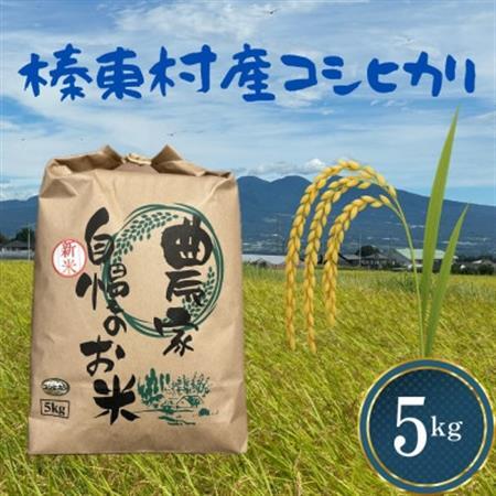[令和8年産]お米コシヒカリ(精米) 5kg[ストロベリーみなみ]