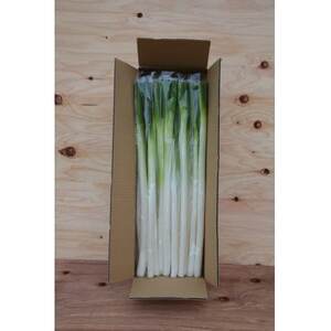 lM 5kgyXgx[݂Ȃ݁zy1691185z