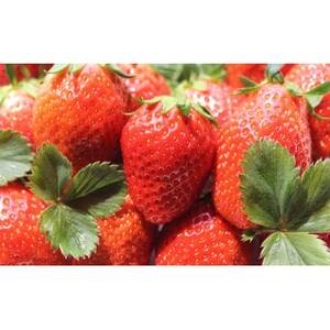 䂢_@悢Ђ߁@2pbNyzsnFEkCEꌧEElEBzy1691427z