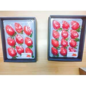 䂢_@p@2pbNyzsnFEkCEꌧEElEBzy1691420z