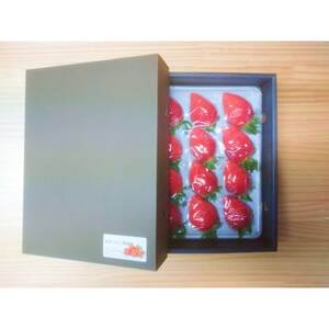 䂢_@p@1pbNyzsnFEkCEꌧEElEBzy1691425z