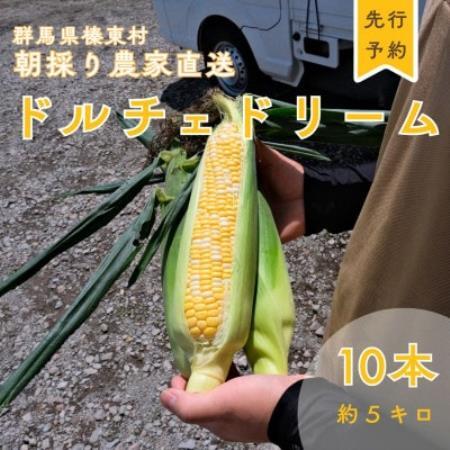 トウモロコシ ドルチェドリーム 10本[配送不可地域:離島]
