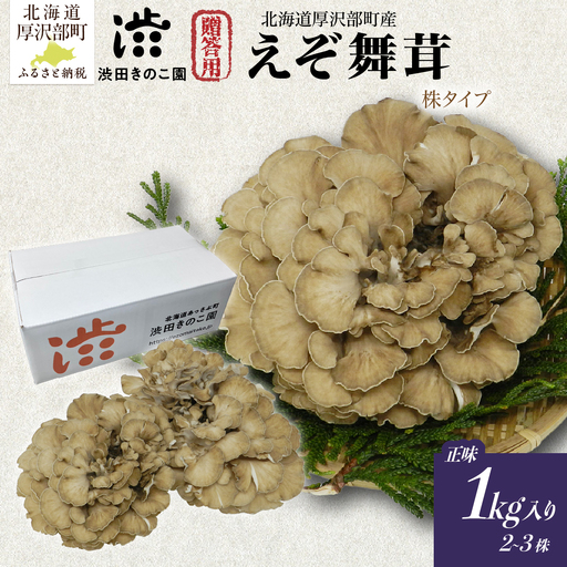 [肉厚・香り豊か]厚沢部の極み えぞ舞茸 正味1kg入り (2〜3株) 贈答用(株タイプ) 北海道厚沢部町産 渋田きのこ園 冷蔵直送