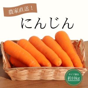 ɂ񂶂10kgyzsnFEꌧzy1478444z