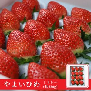 やよいひめ(いちご)約380g×1トレー[配送不可地域:離島・沖縄県]