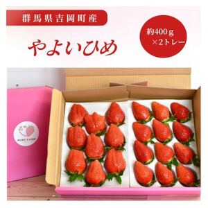 群馬県産いちご やよいひめ 約400g×2トレー[配送不可地域:離島・沖縄県]