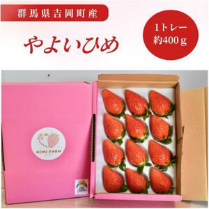 群馬県産いちご やよいひめ 約400g[配送不可地域:離島・沖縄県]