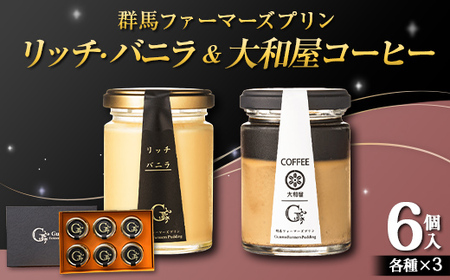 リッチ・バニラ&大和屋コーヒー 6個入(リッチ・バニラ 3個、大和屋コーヒー 3個) 手土産 おやつ デザート スイーツ こだわり 話題 リッチ バニラ コーヒー F21K-503