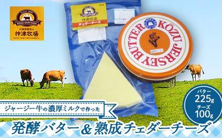[神津牧場]ジャージー牛の濃厚ミルクで作った発酵バター1つと熟成チェダーチーズ100gセット F21K-304