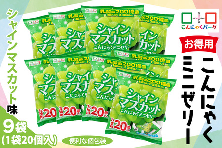 こんにゃくパーク「お得用こんにゃくミニゼリー (シャインマスカット味)」20個入×9袋|シャインマスカット 乳酸菌 スイーツ デザート おやつ 個包装 まとめ買い ヨコオデイリーフーズ [0241]