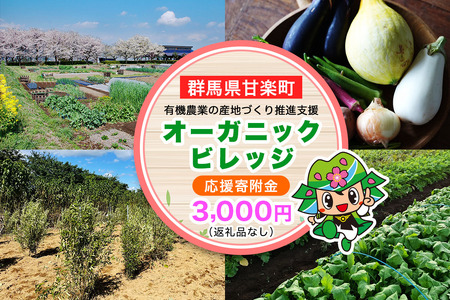 [返礼品なし] 群馬県甘楽町 オーガニックビレッジ 有機農業の産地づくり推進支援 応援寄附金三千円 [0338]