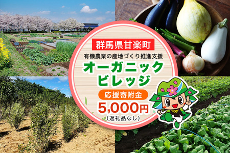 [返礼品なし] 群馬県甘楽町 オーガニックビレッジ 有機農業の産地づくり推進支援 応援寄附金五千円 [0339]