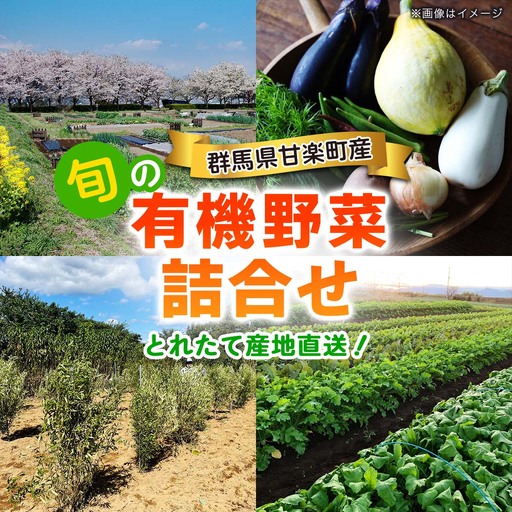 旬の有機野菜詰合せ/群馬県甘楽町産 [0350]