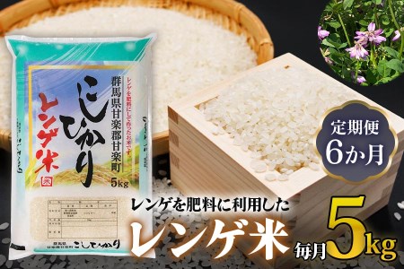 [先行受付] [定期便／6ヶ月連続] レンゲ米計30kg (5kg×1袋×6回) [令和7年10月より順次発送予定]｜令和7年度米 こしひかり コシヒカリ 精米 白米 お米 ごはん 甘楽町産 国産 [0263]
