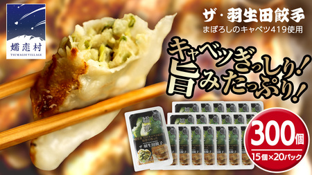 まぼろしのキャベツ419使用 ザ・羽生田餃子 15個 × 20パック 合計300個 [AL004tu]