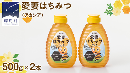 ڗ Ȃ݂͂ ( AJVA ) 500g × 2Zbg ݂͂ Y n`~c I Qn AJVA [AC011tu]