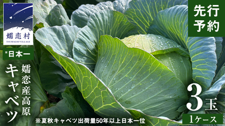 [7月上旬以降発送開始] 嬬恋キャベツ 嬬恋産 高原キャベツ3玉1ケース 先行予約 2025年発送 旬の野菜 きゃべつ 産地直送 群馬 お取り寄せ 野菜 セット Lサイズ [AS010tu]