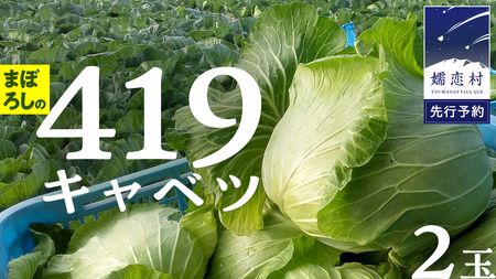 [ 2025年 7月中旬 発送開始 ] まぼろしの419キャベツ 2玉 きゃべつ 嬬恋村産キャベツ 羽生田売店 幻の419 産地直送 期間限定 先行予約 人気 朝採り 通販 お取り寄せ 関東 群馬 出荷時期限定 先行受付 [AL014tu]