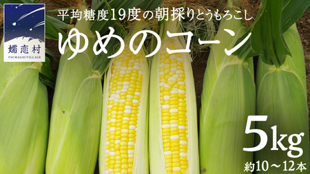 ߂̃R[ 5kg 10`12{ Ƃ낱 gERV XC[gR[  Yn HcX Ԍ lC ̂  ʔ ֓ Qn [AL019tu]