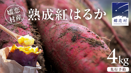 y 10{Jn zڗY n ܂ g͂邩 4kg   Tc}C  ʔ  ڗY ₩΂ _  l Qn st [BR001tu]
