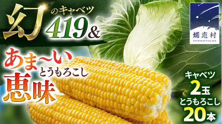 [ 8月上旬 発送開始 ] 朝採り野菜 人気2種セット まぼろしの419キャベツ 2玉 と 甘〜いトウモロコシ 恵味 20本