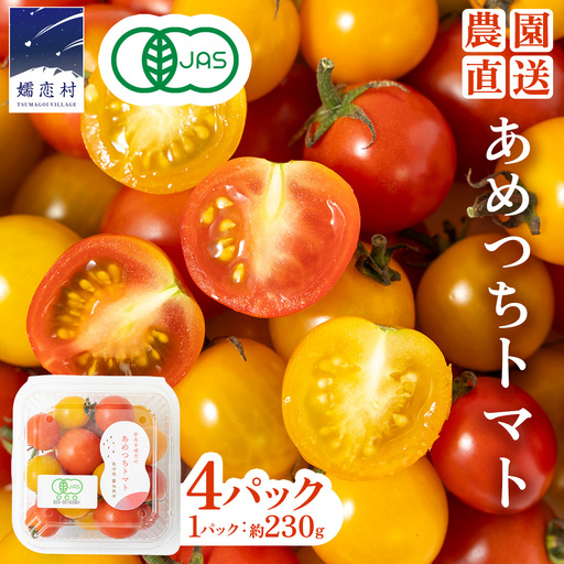 [8月下旬発送開始] ミニトマト 約 230g × 4パック [ あめつち農園 ] [BP001tu]