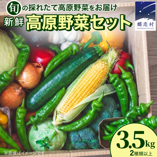 【7月中旬発送開始】旬の採れたて 新鮮 高原野菜 セット 3.5kg 2種以上 [BT001tu]