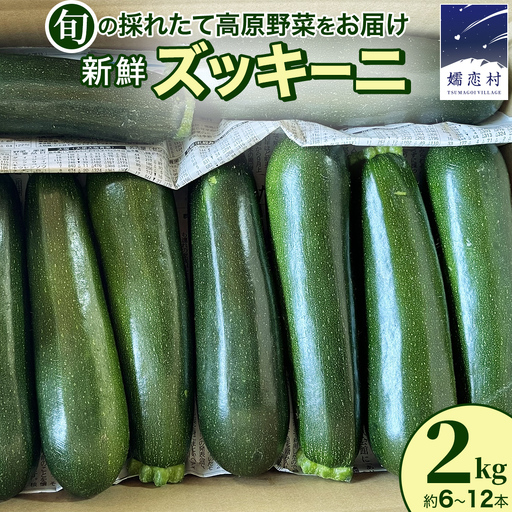 旬の採れたて 新鮮 ズッキーニ 2kg (約6〜12本) [BT003tu]