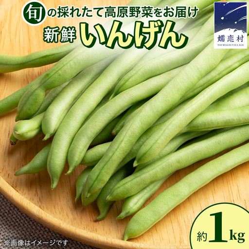 [7月上旬発送開始]旬の採れたて 新鮮 いんげん 約1kg [BT004tu]