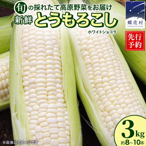 [8月下旬発送開始]とうもろこし ホワイトショコラ 3kg(8〜10本) [BT006tu]