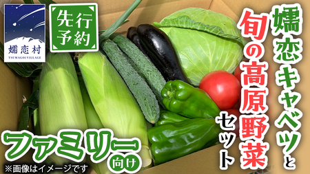 [ 8月下旬発送開始] 嬬恋 キャベツ と旬の 高原 野菜 セット 4人様 ファミリー向け きゃべつ 群馬 419 嬬恋キャベツ 産地直送 詰め合わせ アソート [AK002tu]