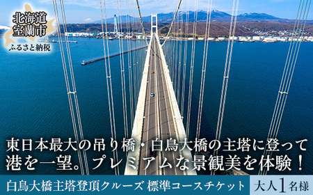 白鳥大橋主塔登頂クルーズ 標準コースチケット 大人1名様