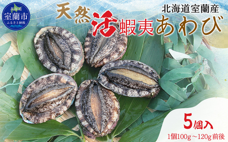 北海道室蘭産 天然活蝦夷あわび 5個入(1個100g〜120g前後)(2025年11月下旬頃お届け) MROH006 | あわび