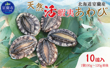 北海道室蘭産 天然活蝦夷あわび 10個入(1個100g〜120g前後)(2025年11月下旬頃お届け) MROH007 | あわび