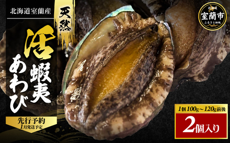 北海道室蘭産 天然活蝦夷あわび 2個入(1個100g〜120g前後)(2026年1月中旬頃お届け) MROH009 | あわび