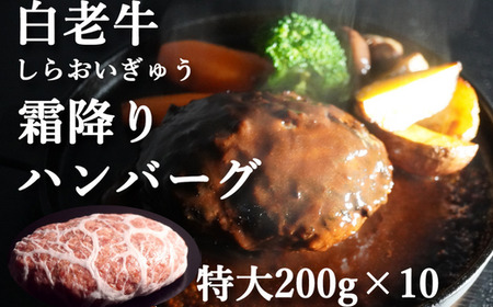 Yano[Oi200gj10 y ӂ邳Ɣ[ lC  LO kCY a no[O   ano[O no[O  f~OX Zbg e l kC