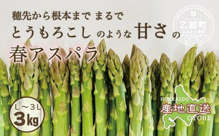 【予約受付中！4月中旬頃発送予定】＜北海道産 春採れグリーンアスパラ 3㎏＞ 甘さ広がる春の味覚！ 北海道 北海道産 国産 産地直送 乙部町 旬 新鮮 採れたて 農家直送 あすぱら アスパラガス 野菜 冷蔵配送 L以上 お取り寄せ 送料無料