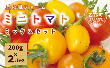 [丘の風ファーム ミニトマトミックス2個セット]