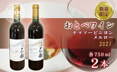 [おとべワイン メルロー・ヤマソービニヨン 750ml×各1本セット]北海道 乙部町 道産 道南 道南ワイン おとべワイン ワイン 赤ワイン 限定 限定品 芳醇 香り