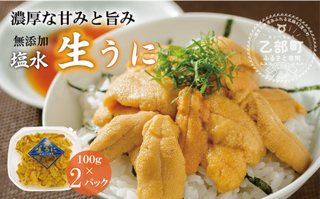 ＜小川の塩水ウニ　100g×2パック＞　ミョウバン不使用！工場直送
