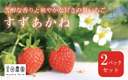 [すずあかね 2パックセット]宮田農園こだわりの夏いちご! 北海道 夏いちご すずあかね 甘酸っぱい