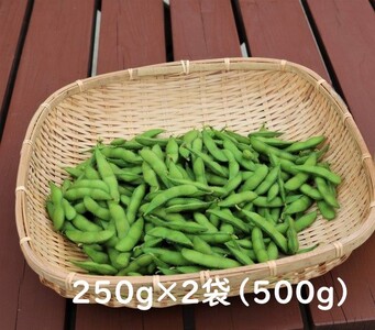 採れたて新鮮!! 高山村の枝豆 500g