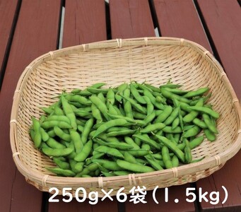 ̂ꂽĐVNII@R̎}@1.5k